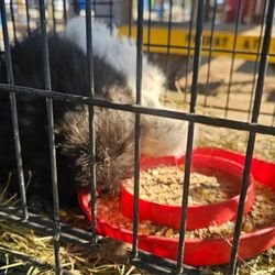 Smiley's Flea Market